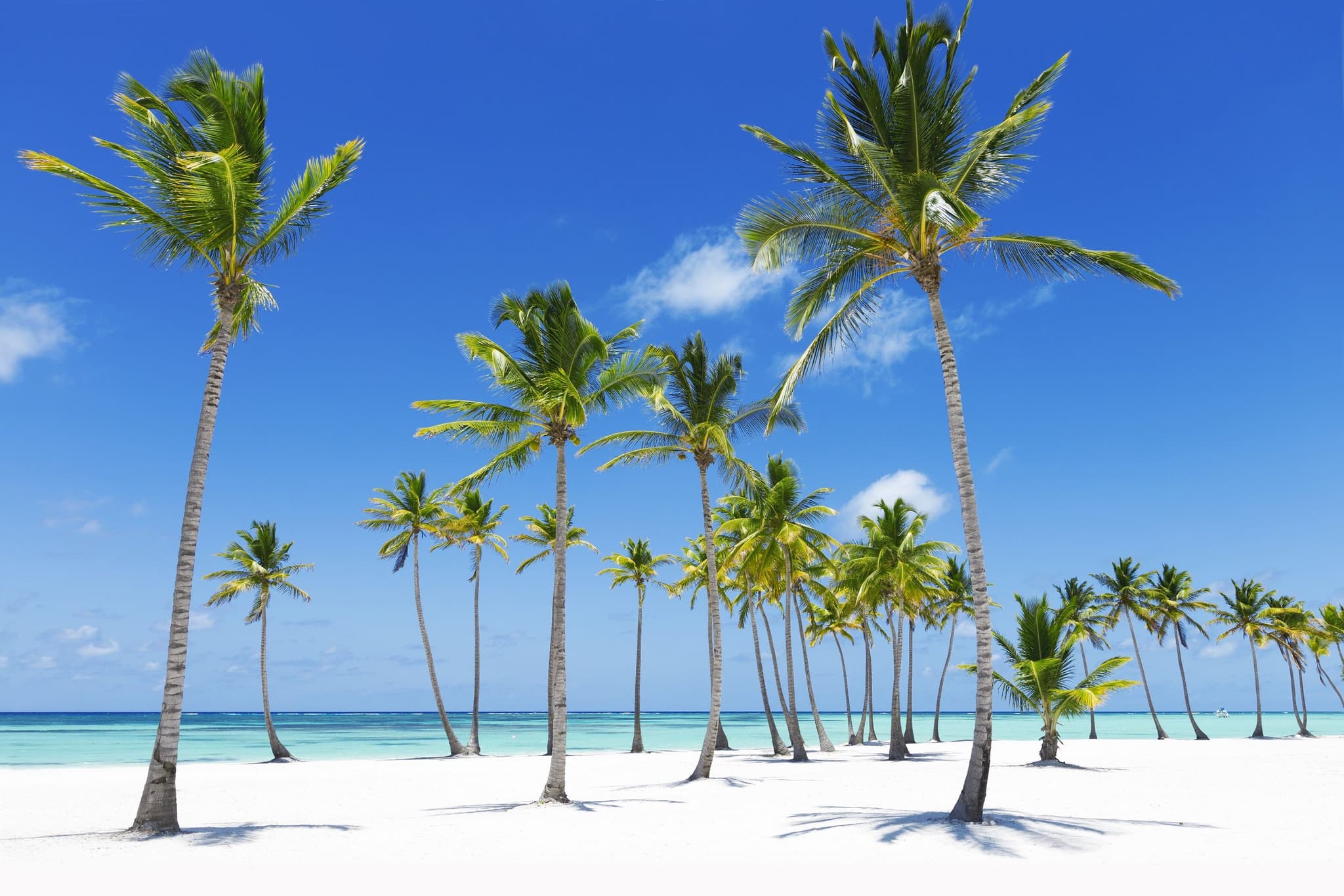 Fiji & Micronesia