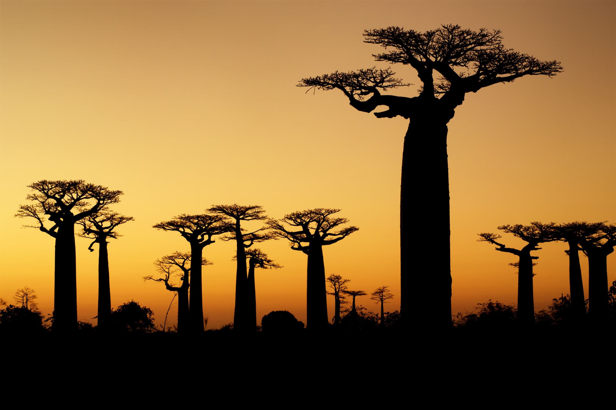Madagascar